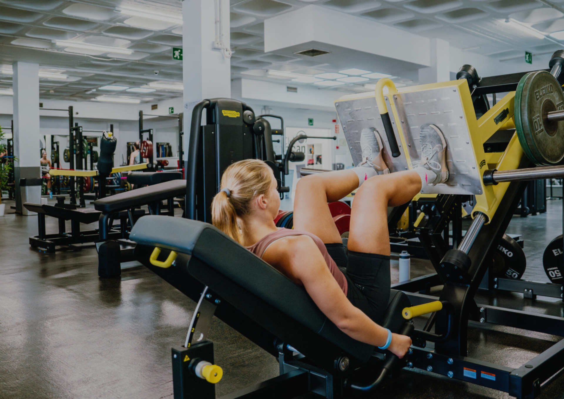 Fitness / Health